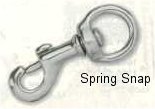 Spring Snap